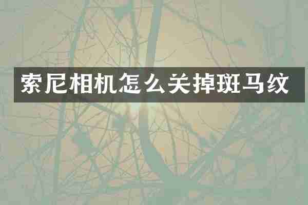 相机怎么关掉斑马纹