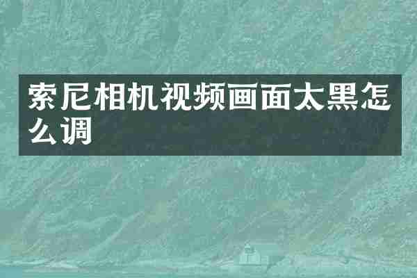 相机视频画面太黑怎么调