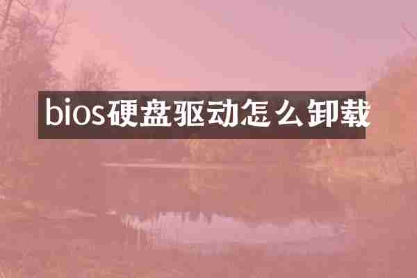 bios硬盘驱动怎么卸载
