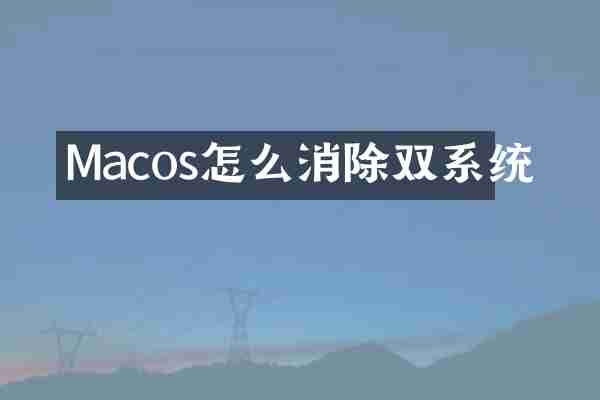 Macos怎么消除双系统