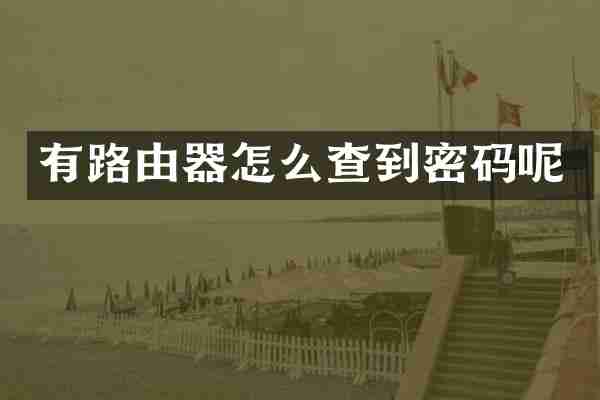有路由器怎么查到密码呢