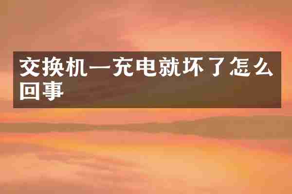 交换机一充电就坏了怎么回事