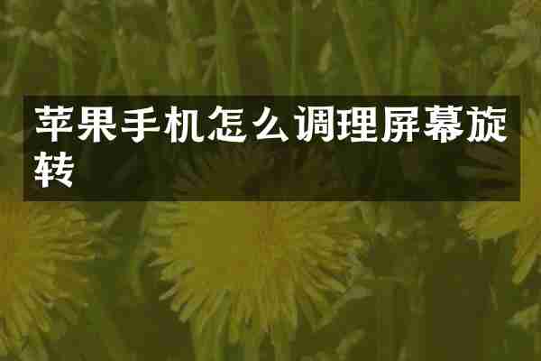 苹果手机怎么调理屏幕旋转