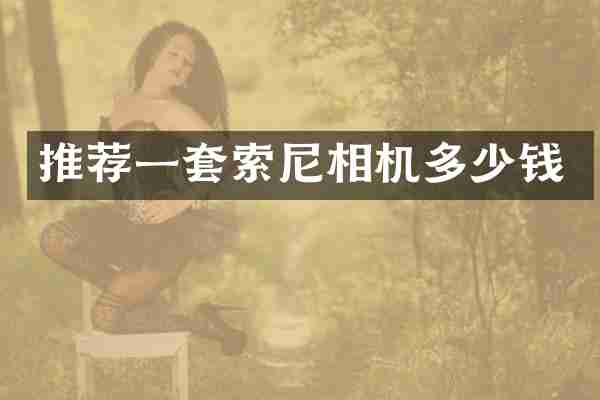 推荐一套相机多少钱