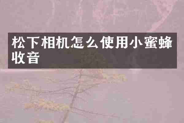 相机怎么使用收音