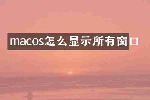 macos怎么显示所有窗口