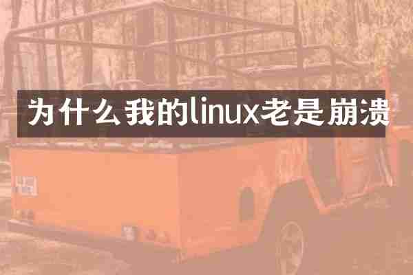 为什么我的linux老是崩溃