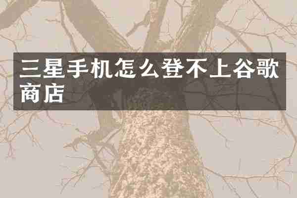 三星手机怎么登不上谷歌商店