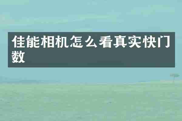 佳能相机怎么看真实快门数
