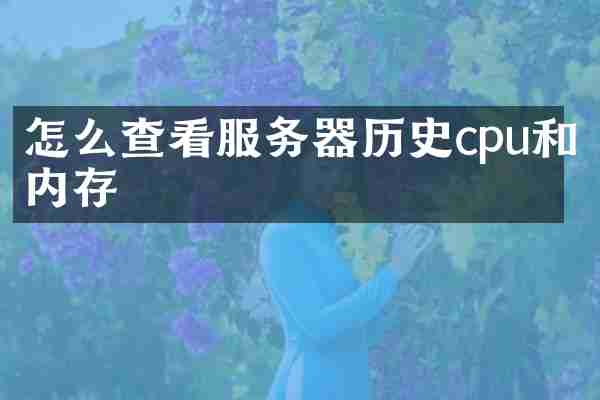 怎么查看服务器历史cpu和内存
