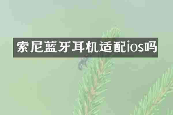 索尼蓝牙耳机适配ios吗