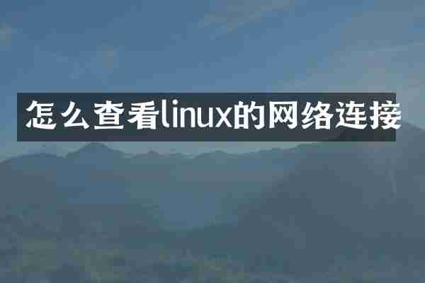 怎么查看linux的网络连接