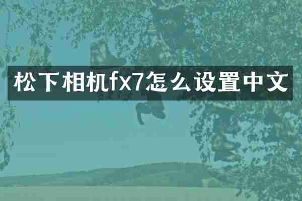 松下相机fx7怎么设置中文