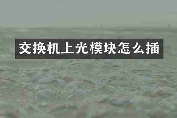 交换机上光模块怎么插