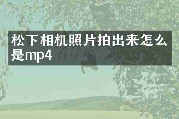 松下相机照片拍出来怎么是mp4
