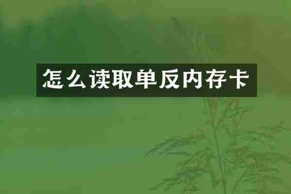 怎么读取单反内存卡