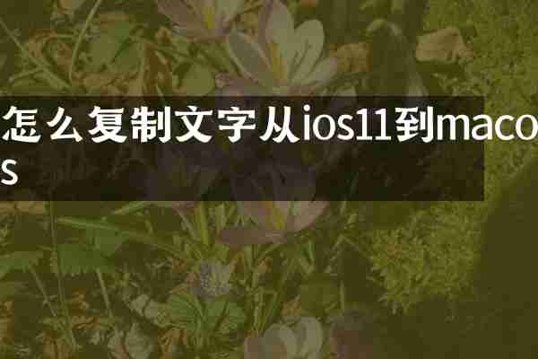 怎么复制文字从ios11到macos