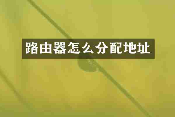 路由器怎么分配地址