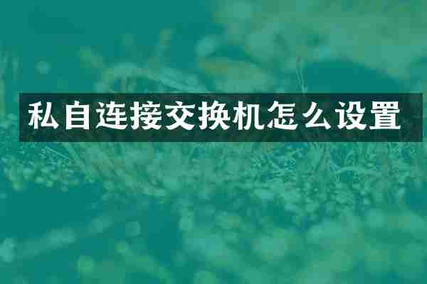 私自连接交换机怎么设置