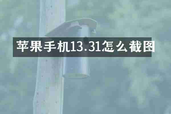 苹果手机13.31怎么截图
