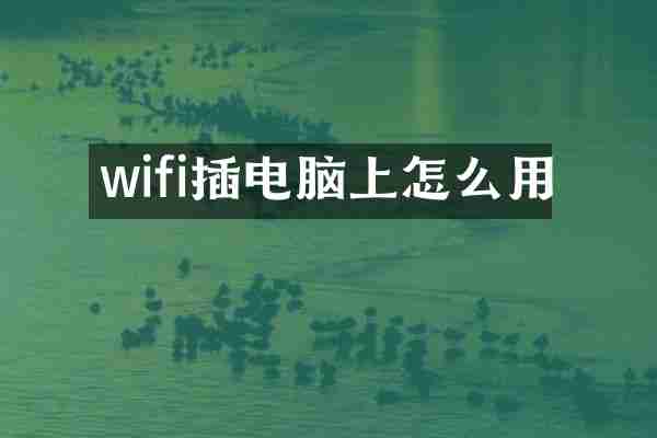 wifi插电脑上怎么用