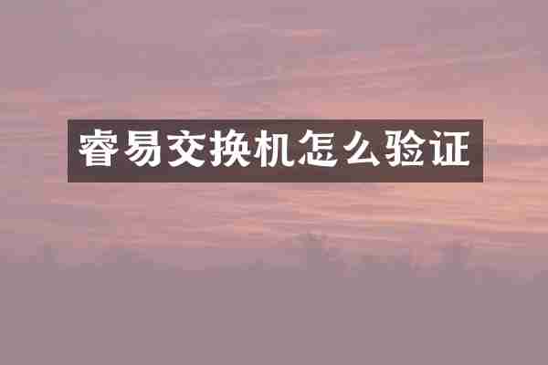 睿易交换机怎么验证