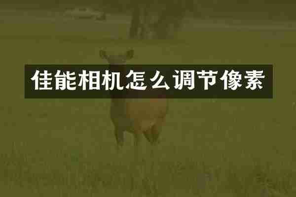 佳能相机怎么调节像素