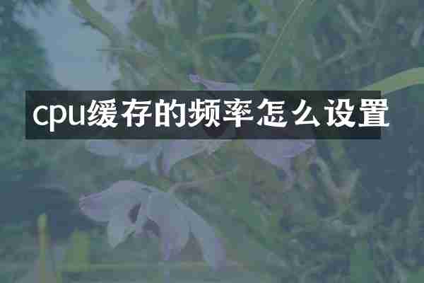 cpu缓存的频率怎么设置