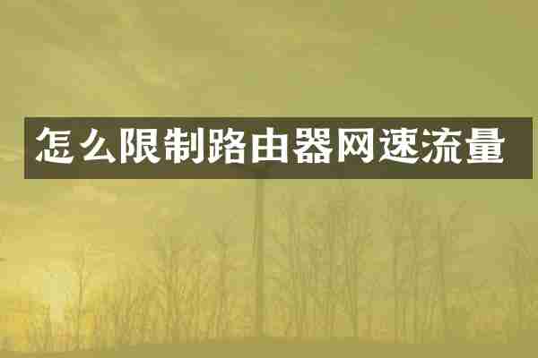 怎么限制路由器网速流量