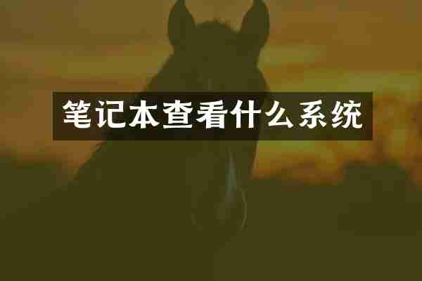 笔记本查看什么系统