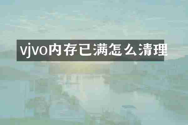 vjvo内存已满怎么清理