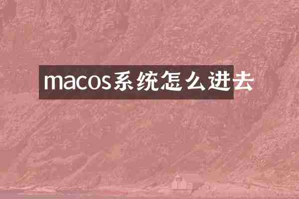 macos系统怎么进去