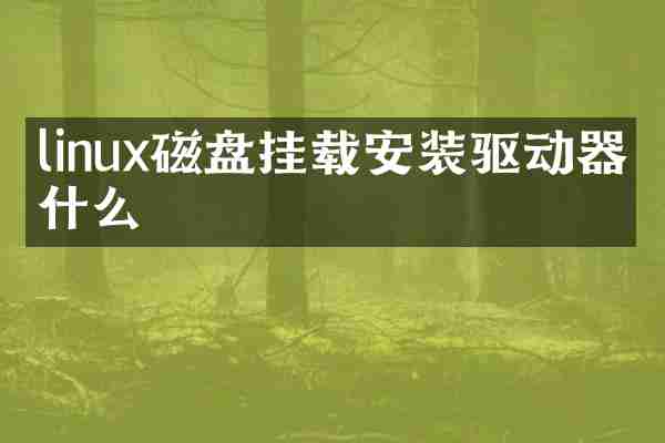 linux磁盘挂载安装驱动器是什么