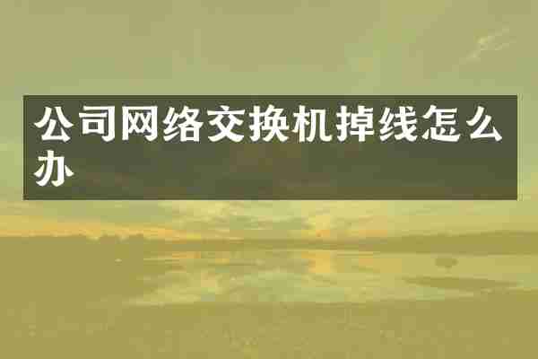 公司网络交换机掉线怎么办