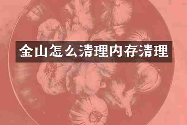 金山怎么清理内存清理
