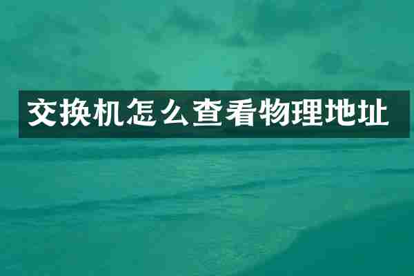 交换机怎么查看物理地址