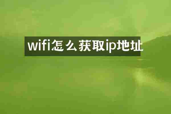 wifi怎么获取ip地址