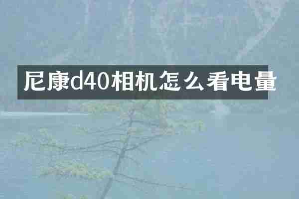 尼康d40相机怎么看电量