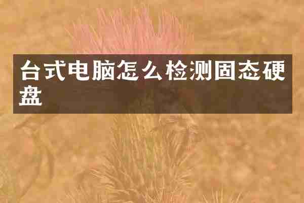 台式电脑怎么检测固态硬盘