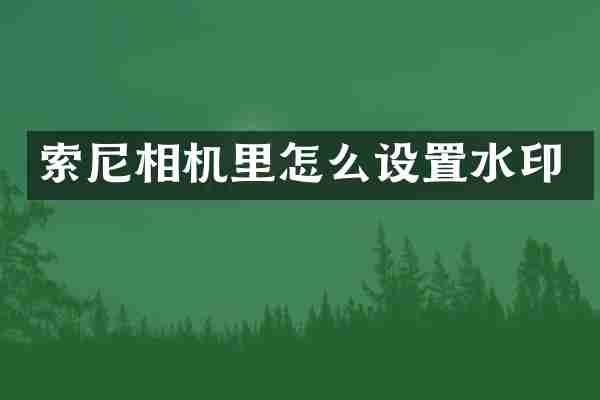 索尼相机里怎么设置水印