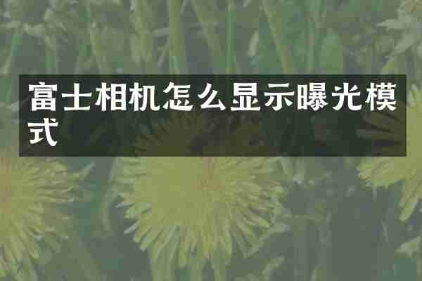 富士相机怎么显示曝光模式