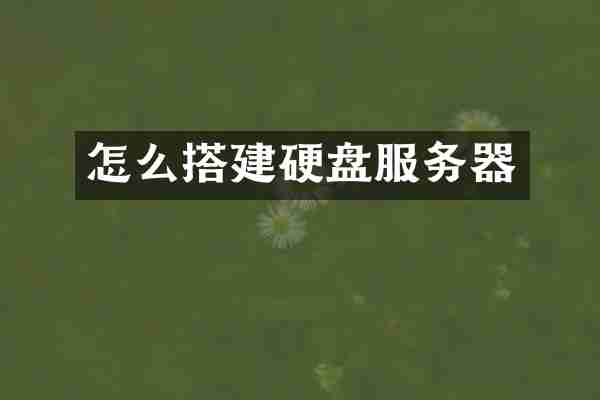 怎么搭建硬盘服务器