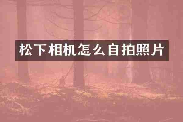 松下相机怎么自拍照片