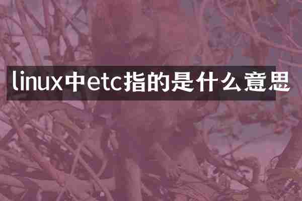 linux中etc指的是什么意思