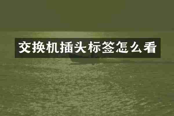 交换机插头标签怎么看