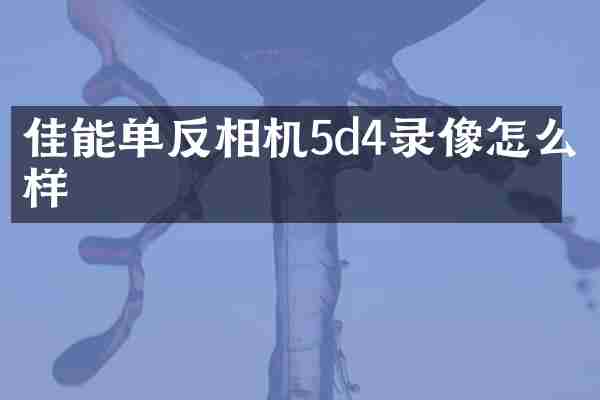佳能单反相机5d4录像怎么样