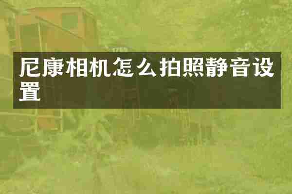 尼康相机怎么拍照静音设置