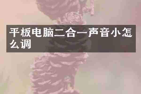 平板电脑二合一声音小怎么调