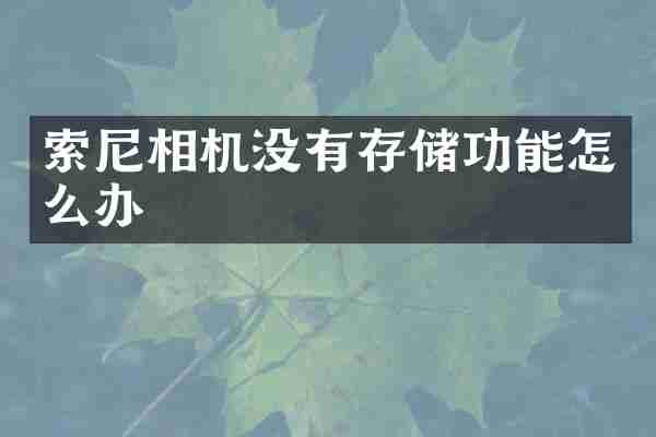 索尼相机没有存储功能怎么办