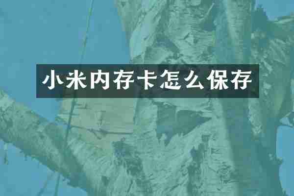 小米内存卡怎么保存